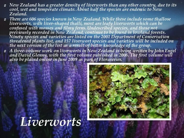 Liverworts New Zealand has a greater density of liverworts than any other