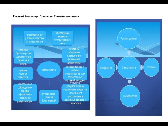 Главный бухгалтер: Степанова Елена Анатольевна