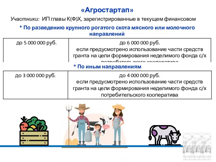 «Агростартап» Участники: ИП главы К(Ф)Х, зарегистрированные в текущем финансовом году