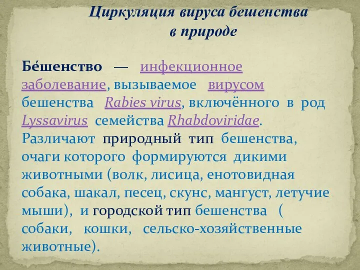 Циркуляция вируса бешенства в природе Бе́шенство — инфекционное заболевание, вызываемое вирусом бешенства