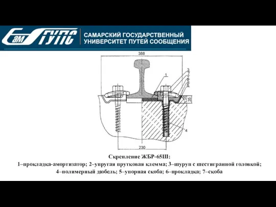 Скрепление ЖБР-65Ш: 1–прокладка-амортизатор; 2–упругая прутковая клемма; 3–шуруп с шестигранной головкой; 4–полимерный дюбель; 5–упорная скоба; 6–прокладка; 7–скоба