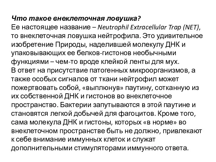 Что такое внеклеточная ловушка? Ее настоящее название – Neutrophil Extracellular Trap (NET),