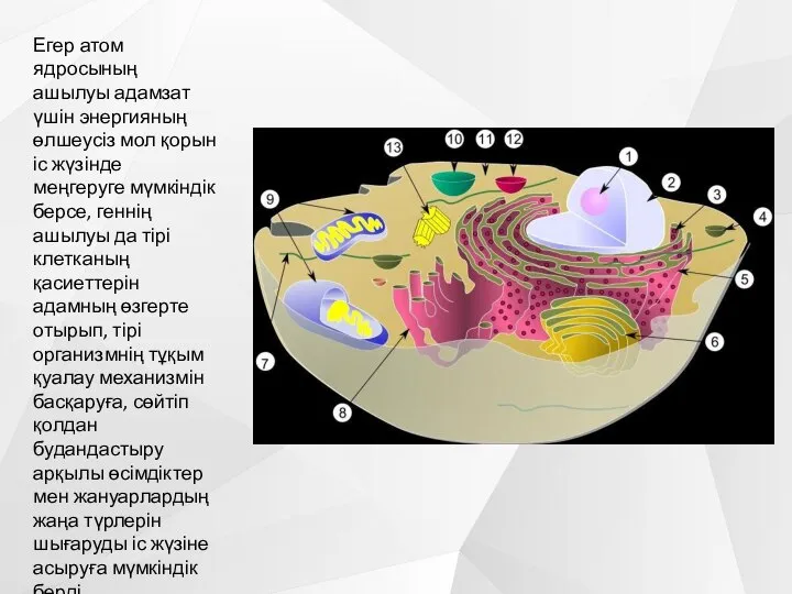 Егер атом ядросының ашылуы адамзат үшін энергияның өлшеусіз мол қорын іс жүзінде