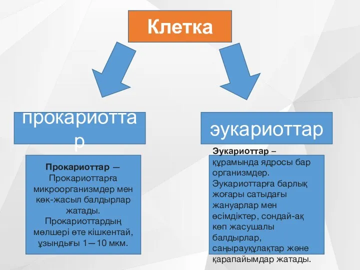 Клетка прокариоттар эукариоттар Прокариоттар — Прокариоттарға микроорганизмдер мен көк-жасыл балдырлар жатады. Прокариоттардың