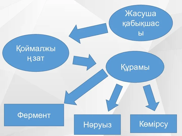 Жасуша қабықшасы Қоймалжың зат Құрамы Фермент Нəруыз Көмірсу