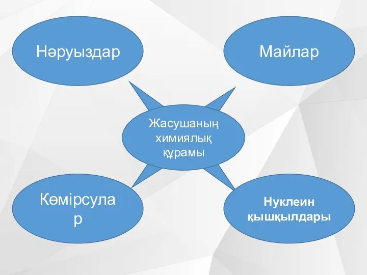 Жасушаның химиялық құрамы Майлар Нəруыздар Көмірсулар Нуклеин қышқылдары