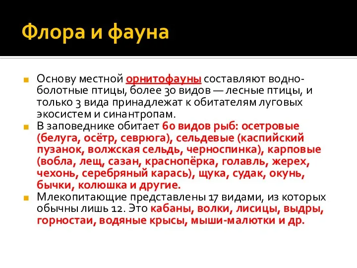 Флора и фауна Основу местной орнитофауны составляют водно-болотные птицы, более 30 видов