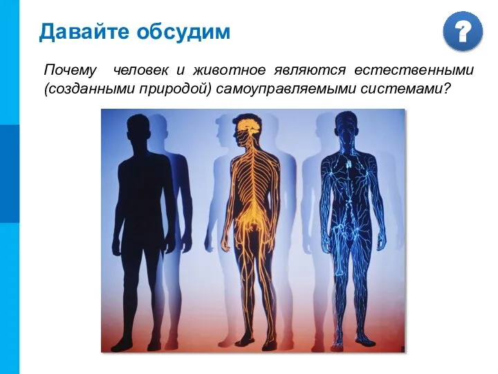 Давайте обсудим Почему человек и животное являются естественными (созданными природой) самоуправляемыми системами?