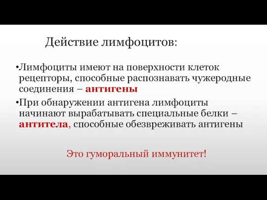 Действие лимфоцитов: Лимфоциты имеют на поверхности клеток рецепторы, способные распознавать чужеродные соединения