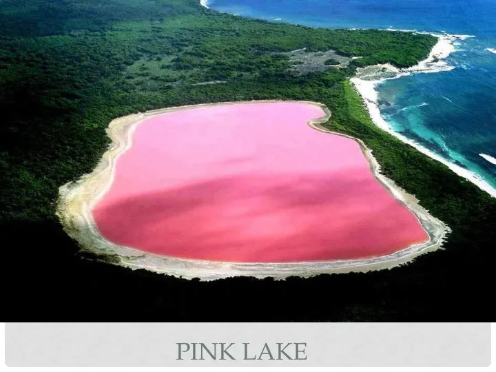 PINK LAKE