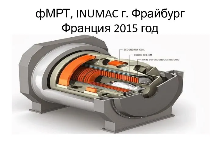 фМРТ, INUMAC г. Фрайбург Франция 2015 год