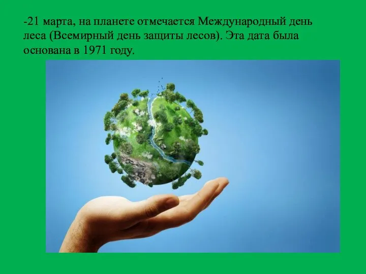 -21 марта, на планете отмечается Международный день леса (Всемирный день защиты лесов).