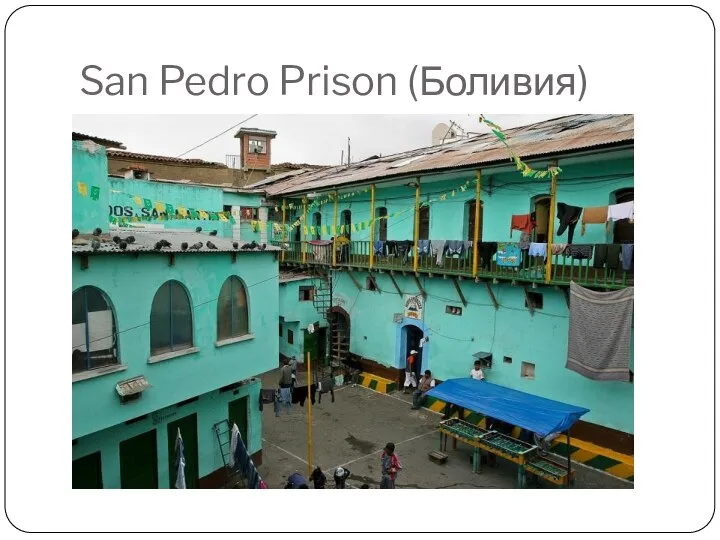 San Pedro Prison (Боливия)