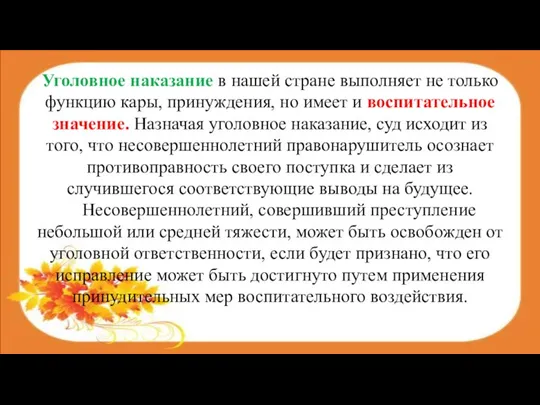 Уголовное наказание в нашей стране выполняет не только функцию кары, принуждения, но