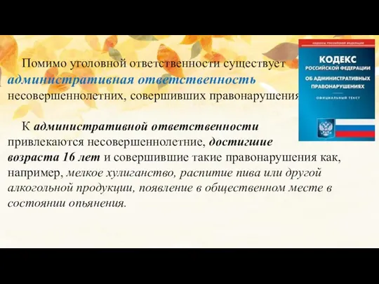 Помимо уголовной ответственности существует административная ответственность несовершеннолетних, совершивших правонарушения. К административной ответственности