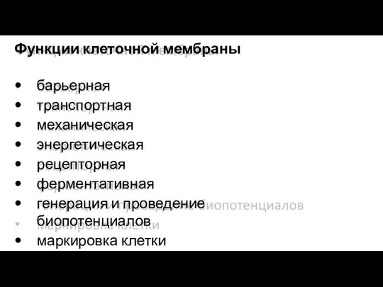 Функции клеточной мембраны барьерная транспортная механическая энергетическая рецепторная ферментативная генерация и проведение биопотенциалов маркировка клетки