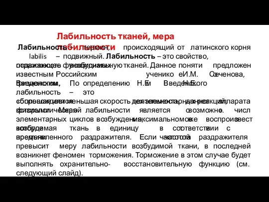 Лабильность тканей, мера лабильности Лабильность – термин, происходящий от латинского корня labilis