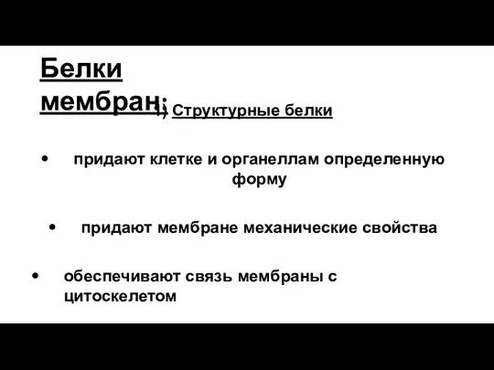 Белки мембран: 1) Структурные белки придают клетке и органеллам определенную форму придают