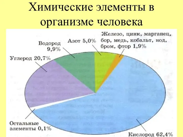 Химические элементы в организме человека