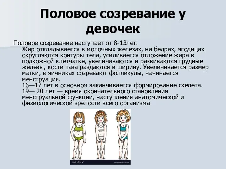 Половое созревание у девочек Половое созревание наступает от 8-13лет. Жир откладывается в