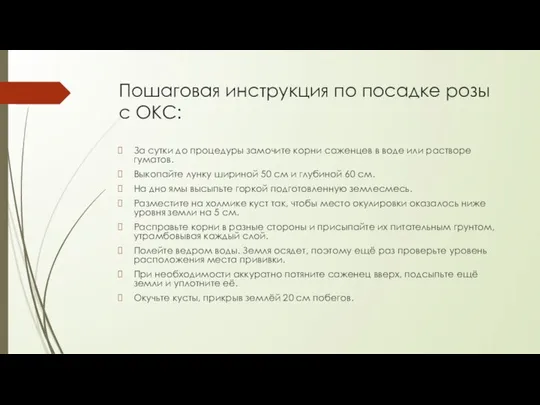 Пошаговая инструкция по посадке розы с ОКС: За сутки до процедуры замочите