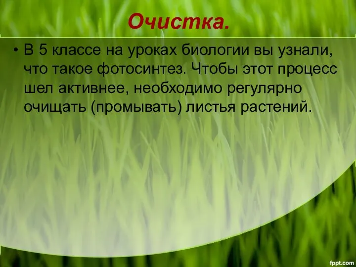 Очистка. В 5 классе на уроках биологии вы узнали, что такое фотосинтез.