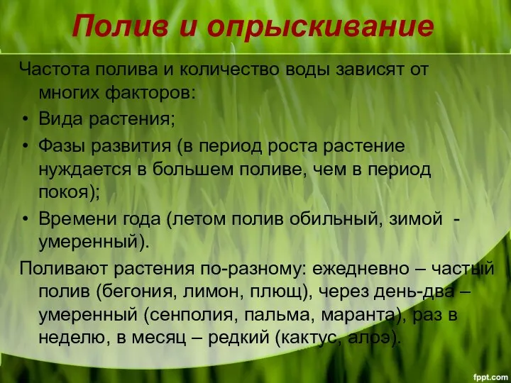 Полив и опрыскивание Частота полива и количество воды зависят от многих факторов: