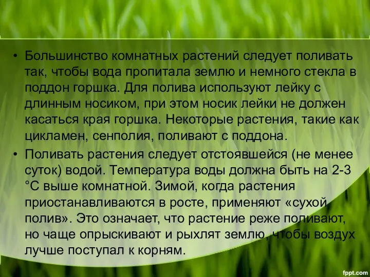 Большинство комнатных растений следует поливать так, чтобы вода пропитала землю и немного