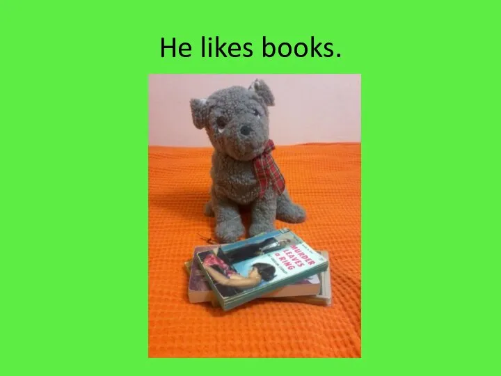 He likes books.