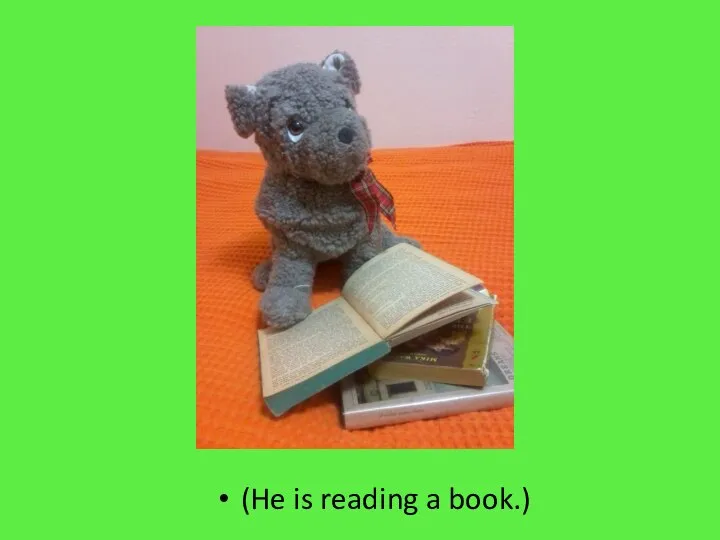(He is reading a book.)