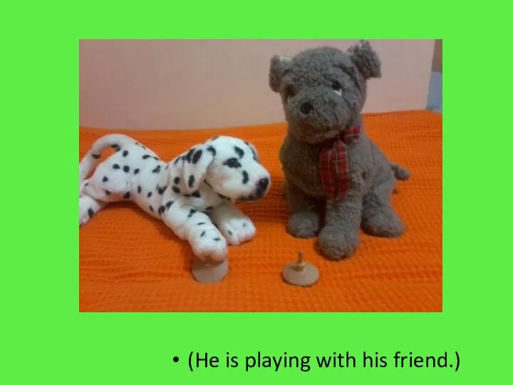 (He is playing with his friend.)