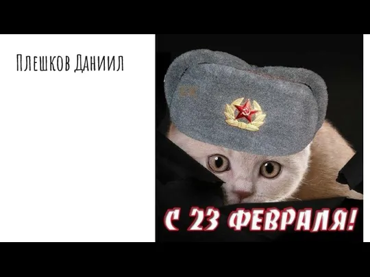 Плешков Даниил