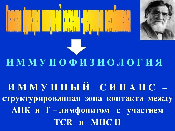 Главная функция иммунной системы - регуляция метаболизма И М М У Н