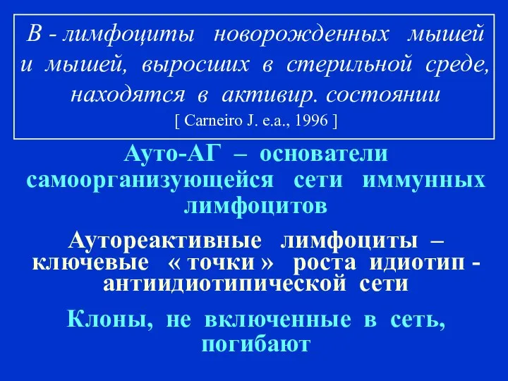 В - лимфоциты новорожденных мышей и мышей, выросших в стерильной среде, находятся