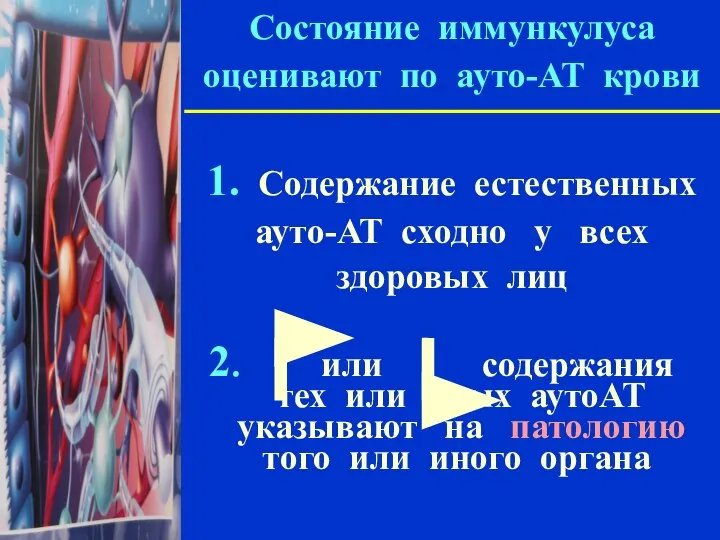 Состояние иммункулуса оценивают по ауто-АТ крови 1. Содержание естественных ауто-АТ сходно у