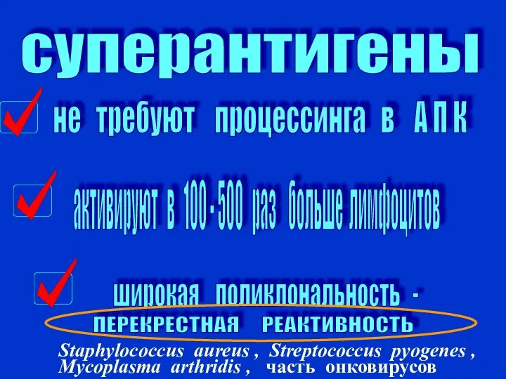 суперантигены не требуют процессинга в А П К активируют в 100 -