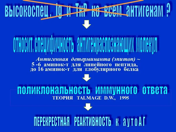 высокоспец . Ig и ТкР ко всем антигенам ? Антигенная детерминанта (эпитоп)