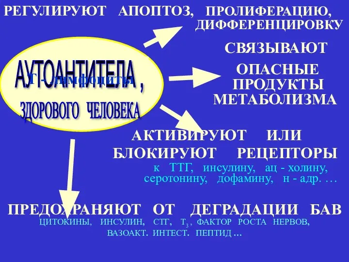 РЕГУЛИРУЮТ АПОПТОЗ, ПРОЛИФЕРАЦИЮ, ДИФФЕРЕНЦИРОВКУ СВЯЗЫВАЮТ ОПАСНЫЕ ПРОДУКТЫ МЕТАБОЛИЗМА АКТИВИРУЮТ ИЛИ БЛОКИРУЮТ РЕЦЕПТОРЫ