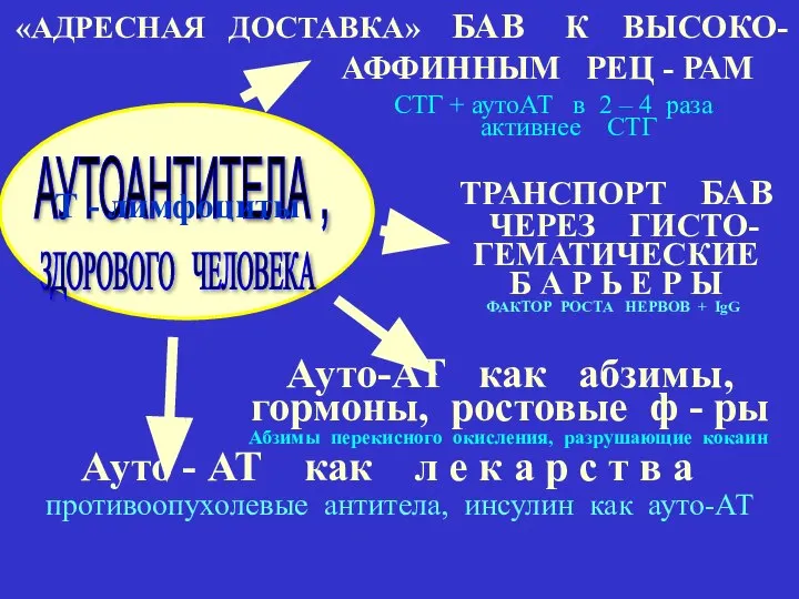 «АДРЕСНАЯ ДОСТАВКА» БАВ К ВЫСОКО- АФФИННЫМ РЕЦ - РАМ СТГ + аутоАТ