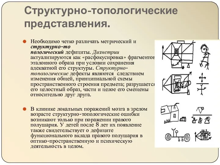 Структурно-топологические представления. Необходимо четко различать метрический и структурно-то пологический дефициты. Дизметрии актуализируются