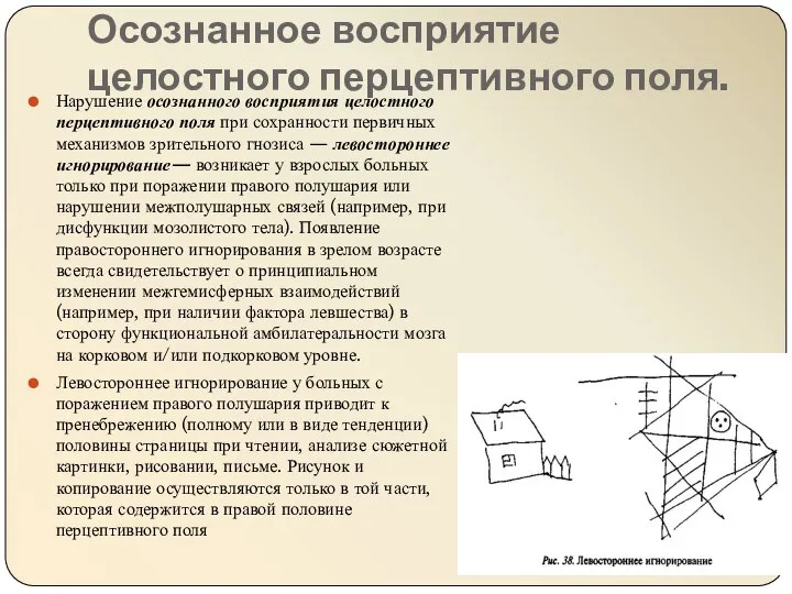 Осознанное восприятие целостного перцептивного поля. Нарушение осознанного восприятия целостного перцептивного поля при