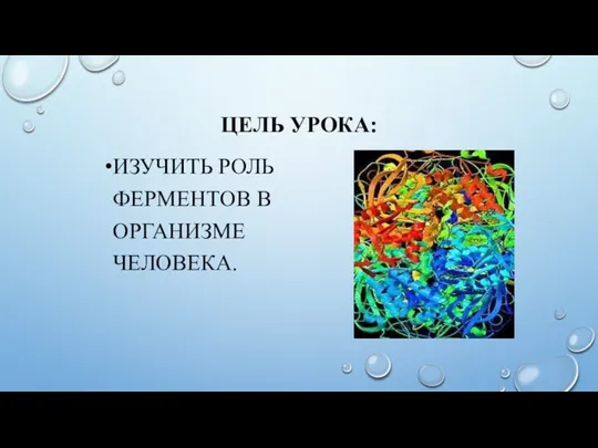 ЦЕЛЬ УРОКА: ИЗУЧИТЬ РОЛЬ ФЕРМЕНТОВ В ОРГАНИЗМЕ ЧЕЛОВЕКА.