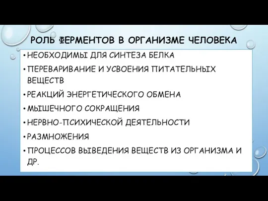 РОЛЬ ФЕРМЕНТОВ В ОРГАНИЗМЕ ЧЕЛОВЕКА НЕОБХОДИМЫ ДЛЯ СИНТЕЗА БЕЛКА ПЕРЕВАРИВАНИЕ И УСВОЕНИЯ