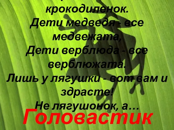 У крокодилов - крокодиленок. Дети медведя - все медвежата, Дети верблюда -