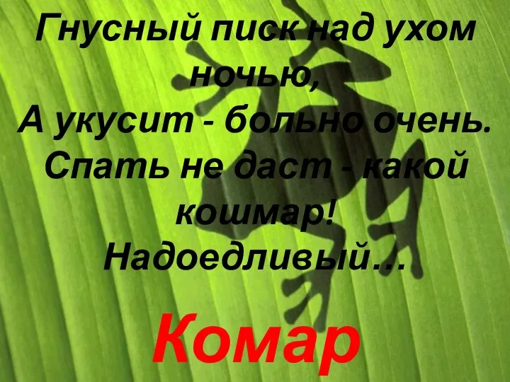 Гнусный писк над ухом ночью, А укусит - больно очень. Спать не