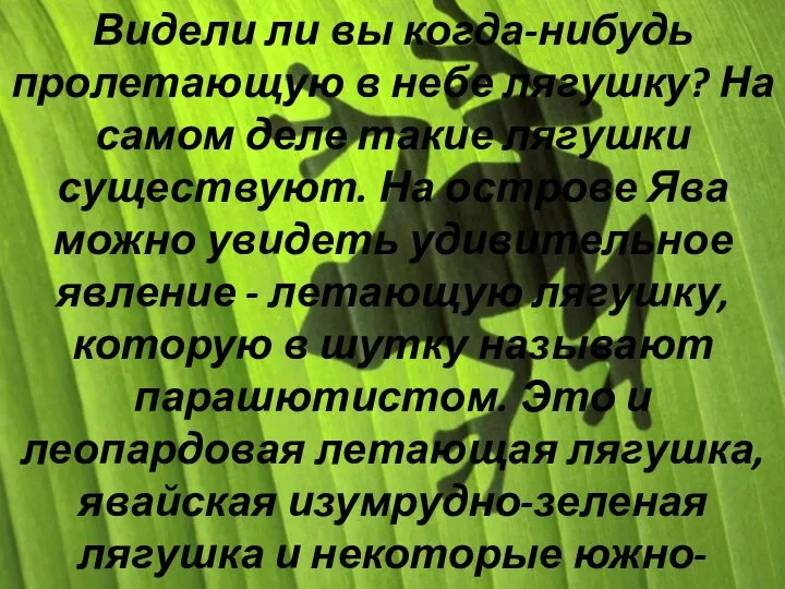 Видели ли вы когда-нибудь пролетающую в небе лягушку? На самом деле такие