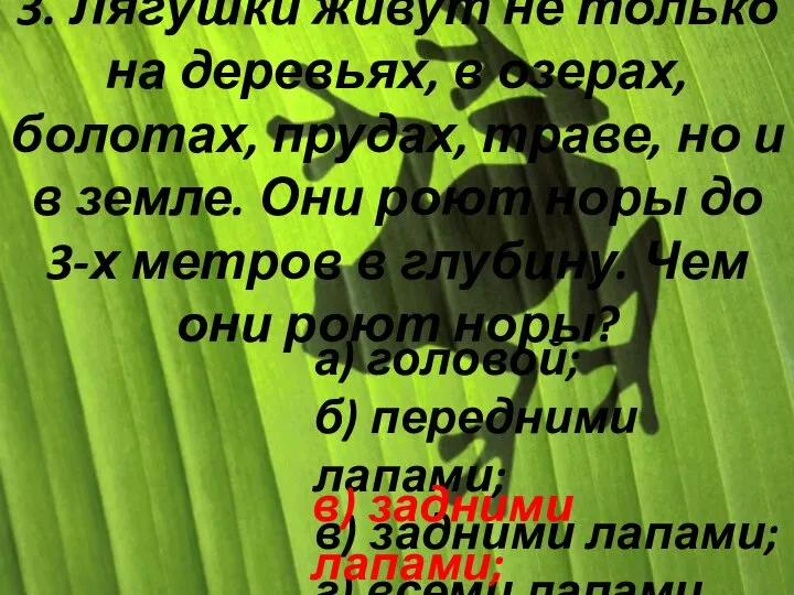 3. Лягушки живут не только на деревьях, в озерах, болотах, прудах, траве,