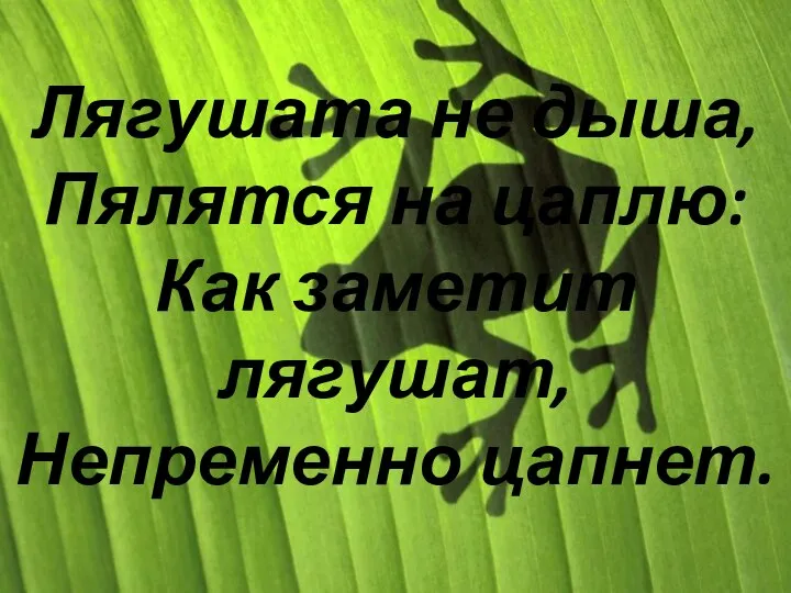 Лягушата не дыша, Пялятся на цаплю: Как заметит лягушат, Непременно цапнет.