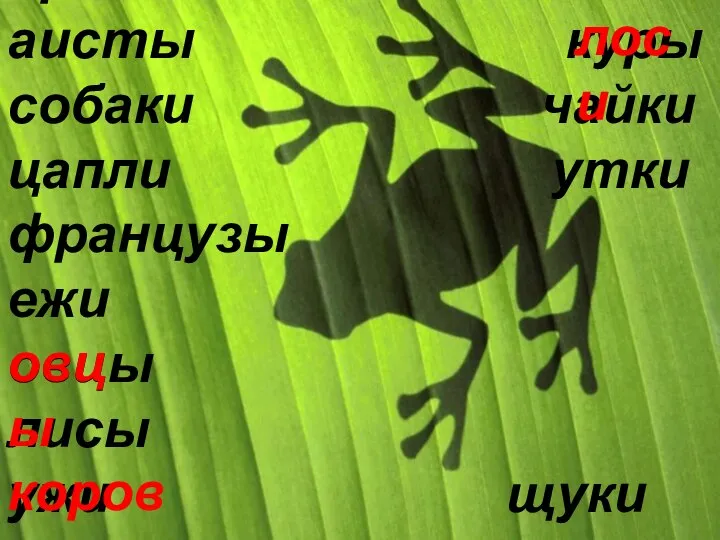 дрозды лоси аисты куры собаки чайки цапли утки французы ежи овцы лисы