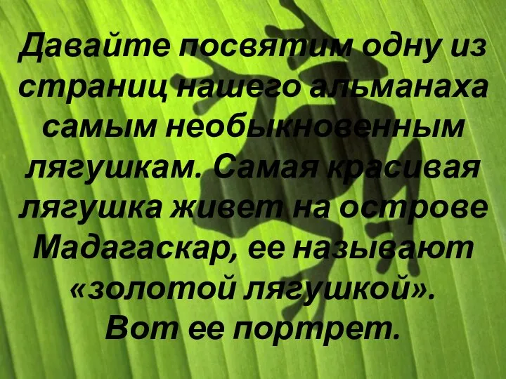 Давайте посвятим одну из страниц нашего альманаха самым необыкновенным лягушкам. Самая красивая